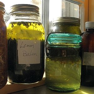 Making Herbal Oils